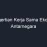 Kerja sama ekonomi antarnegara dimanfaatkan Indonesia sebagai tempat investasi.