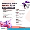 6 Pedoman Penatalaksanaan Malaria Indonesia 2008