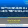 Aki AKB Survei Demografi Kesehatan Indonesia