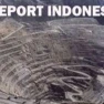 Pusat Keunggulan Ekonomi di Indonesia