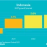 Pembangunan Ekonomi Indonesia Penggerak, Kebijakan, dan Prospek